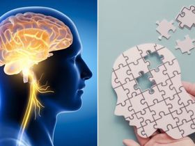 Xu hướng dùng thảo dược để cải thiện suy giảm chức năng não bộ cực hiệu quả